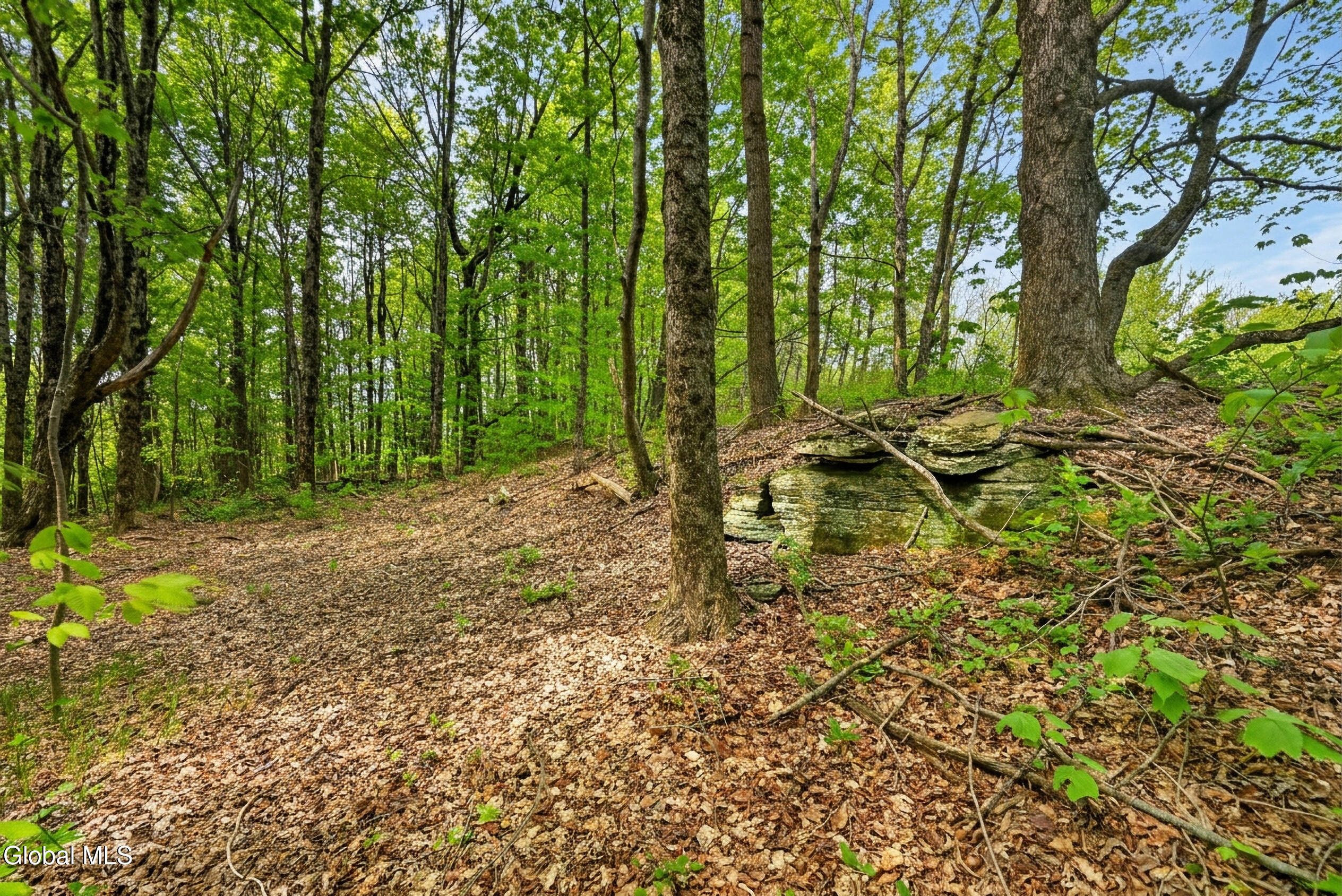 164 Zellner Road Summit, NY 12175 - Photo 93 of 102 164 Zellner Rd - Exterior-Camera-Drone-2
