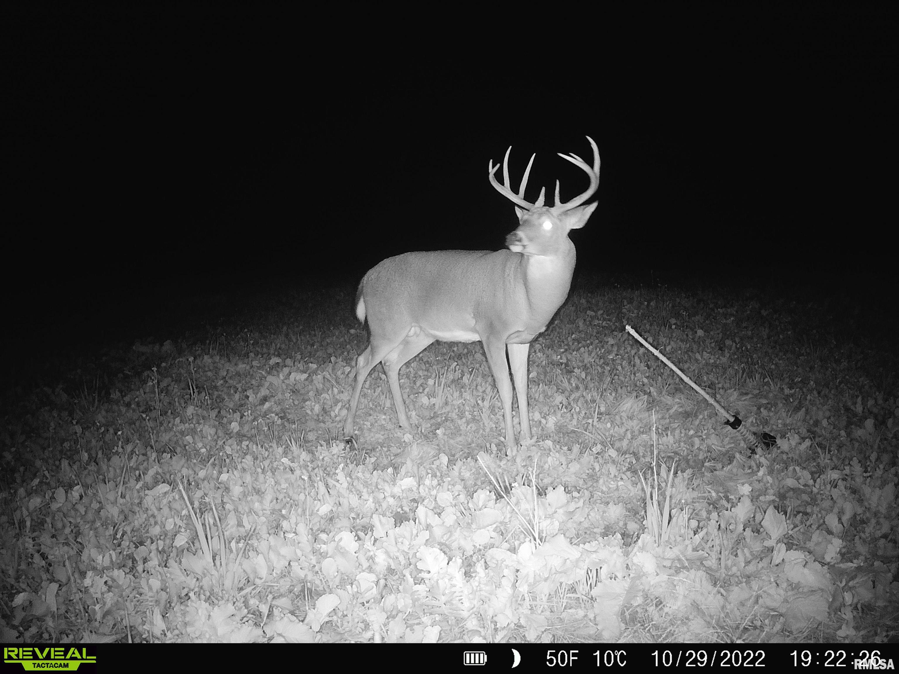 0 East Clay Road Noble, IL 62868 - Photo 1 of 48