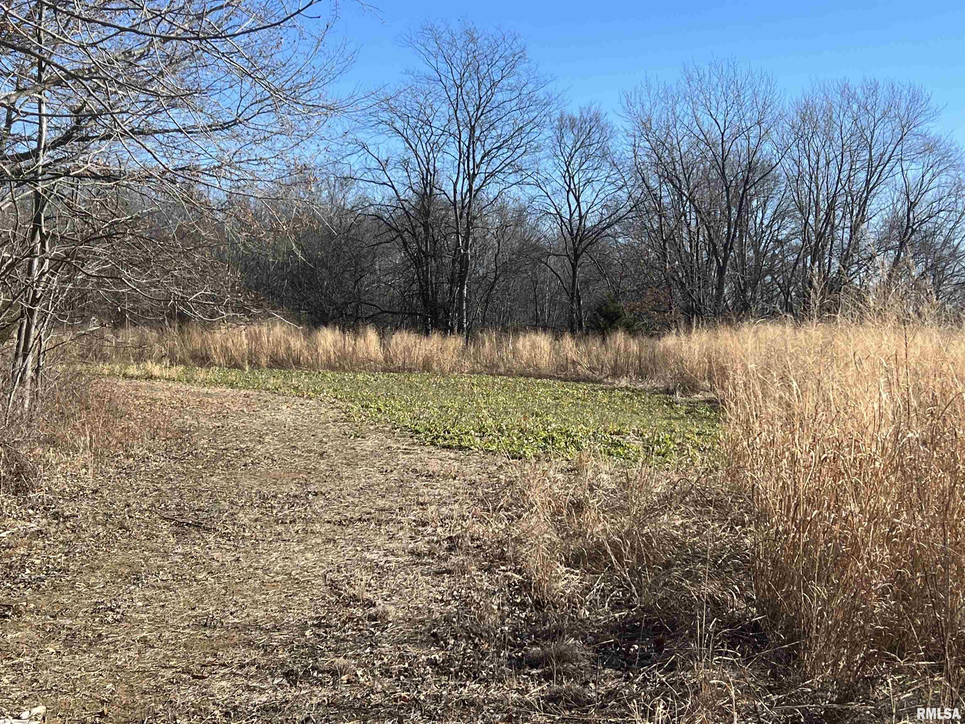 0 East Clay Road Noble, IL 62868 - Photo 11 of 48