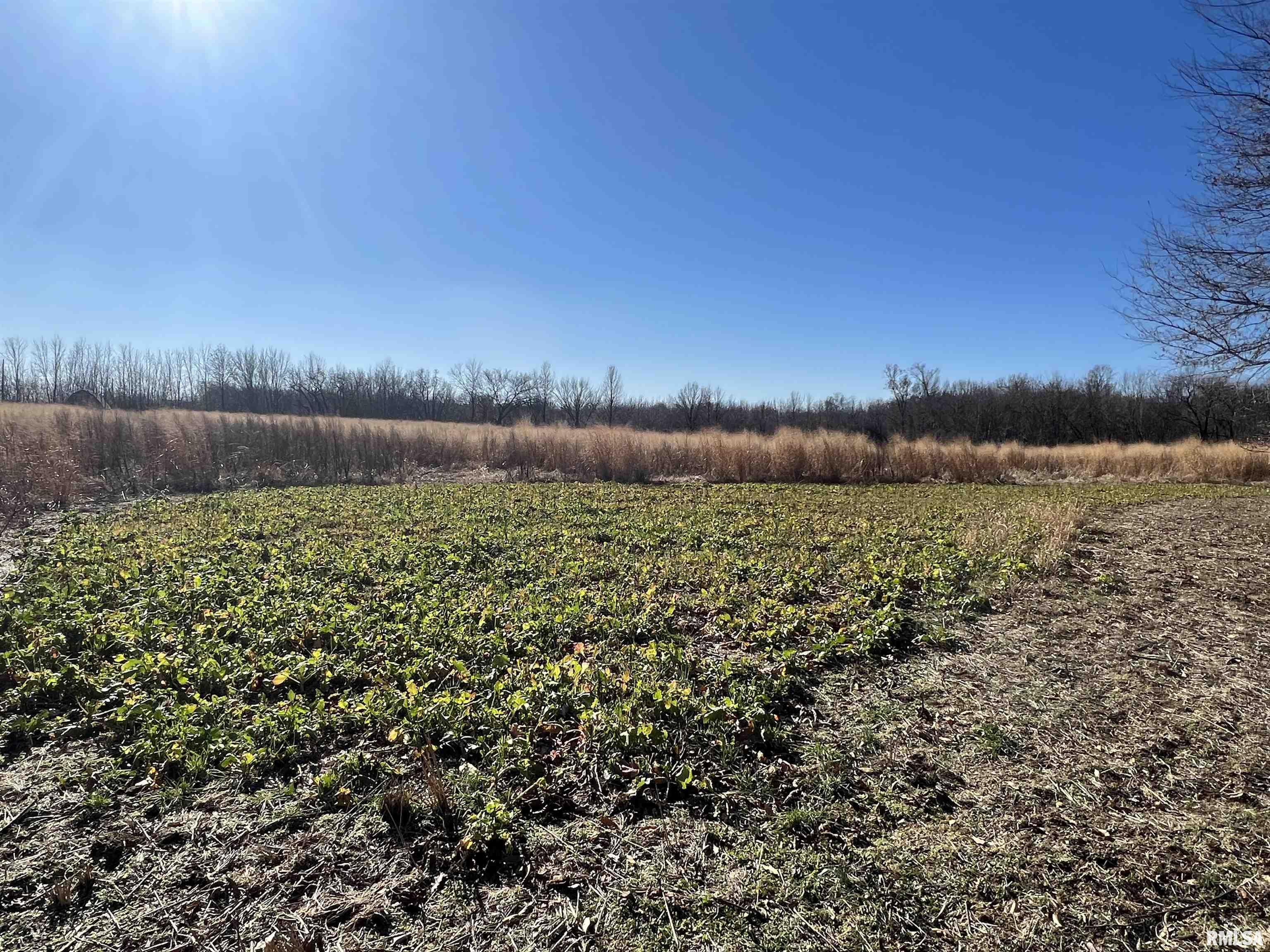 0 East Clay Road Noble, IL 62868 - Photo 17 of 48