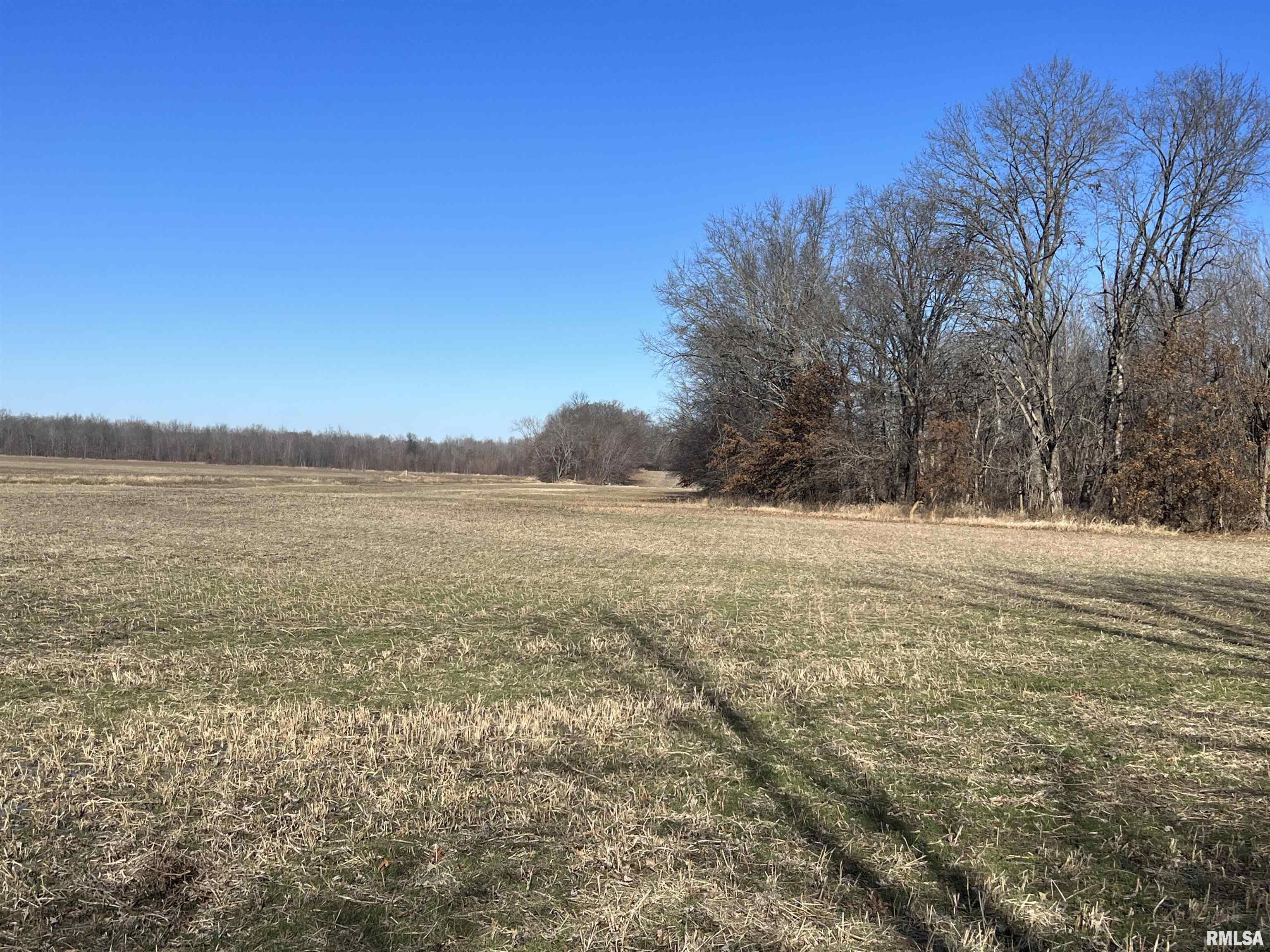 0 East Clay Road Noble, IL 62868 - Photo 18 of 48