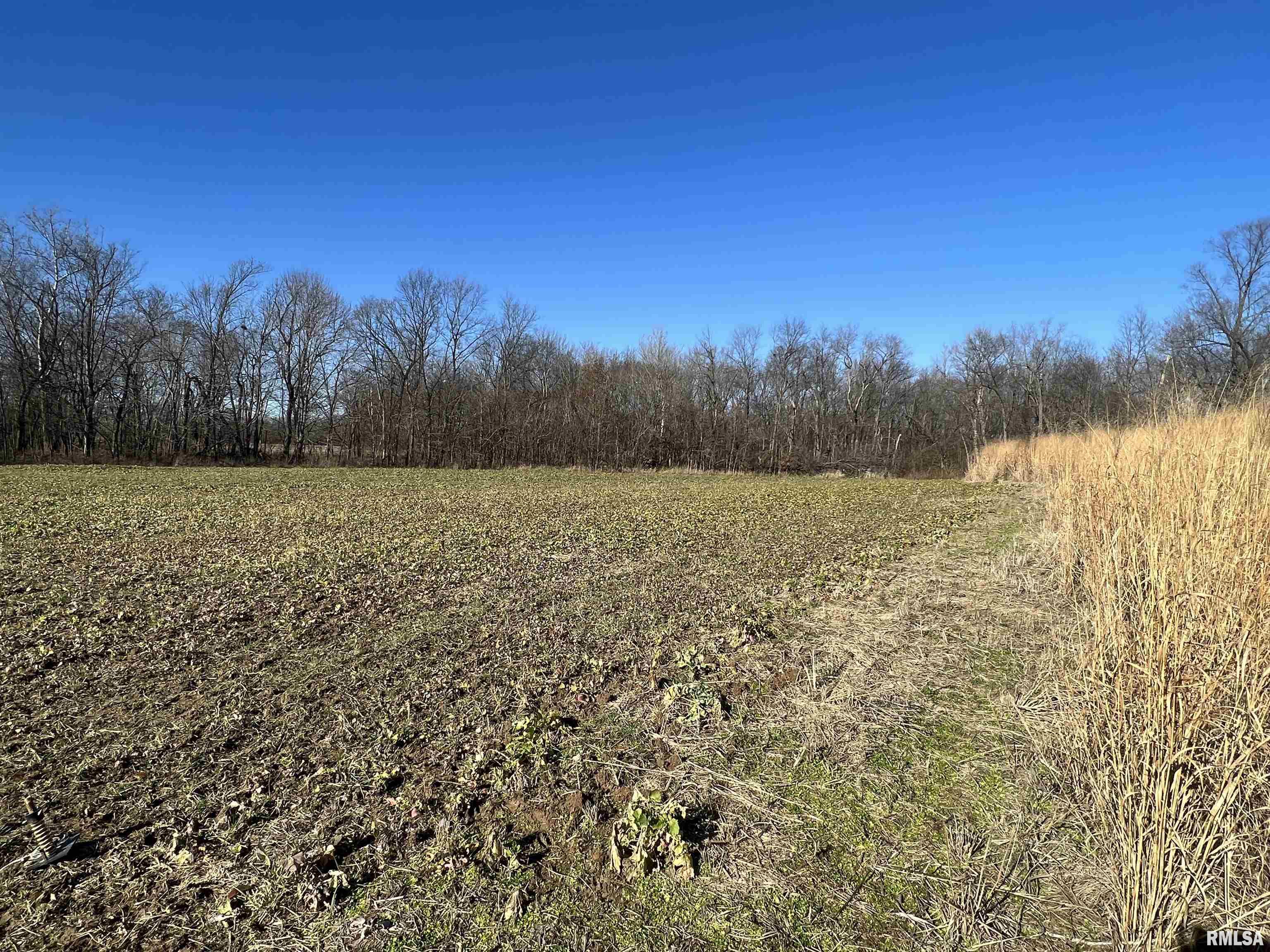 0 East Clay Road Noble, IL 62868 - Photo 19 of 48