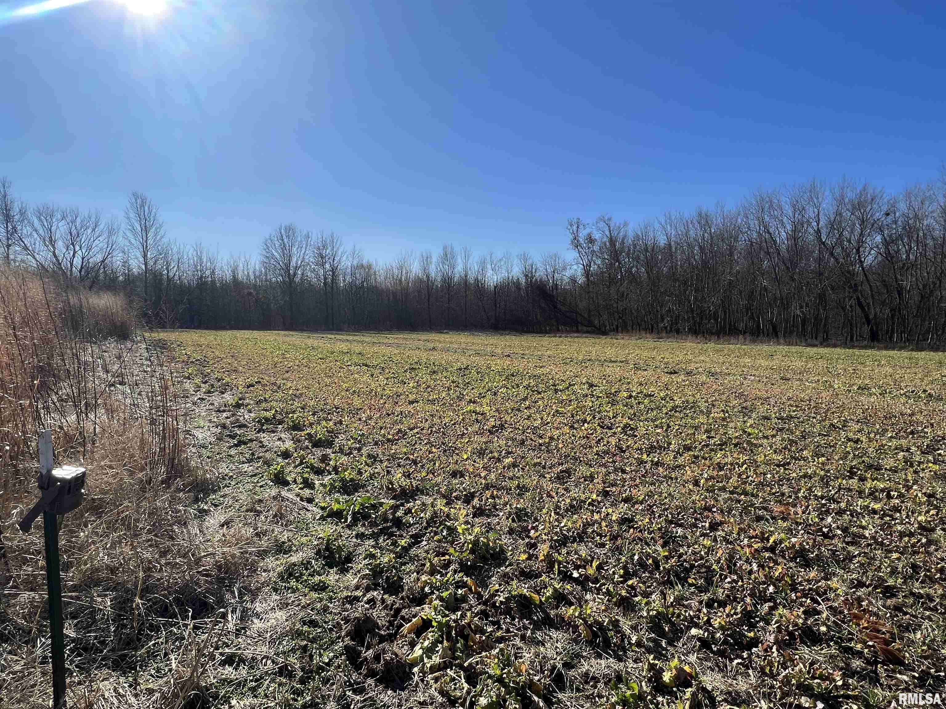 0 East Clay Road Noble, IL 62868 - Photo 20 of 48