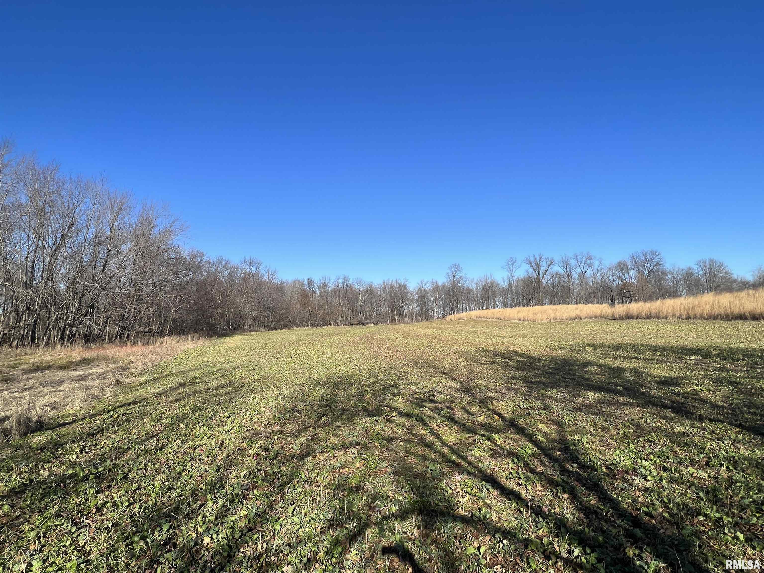 0 East Clay Road Noble, IL 62868 - Photo 21 of 48