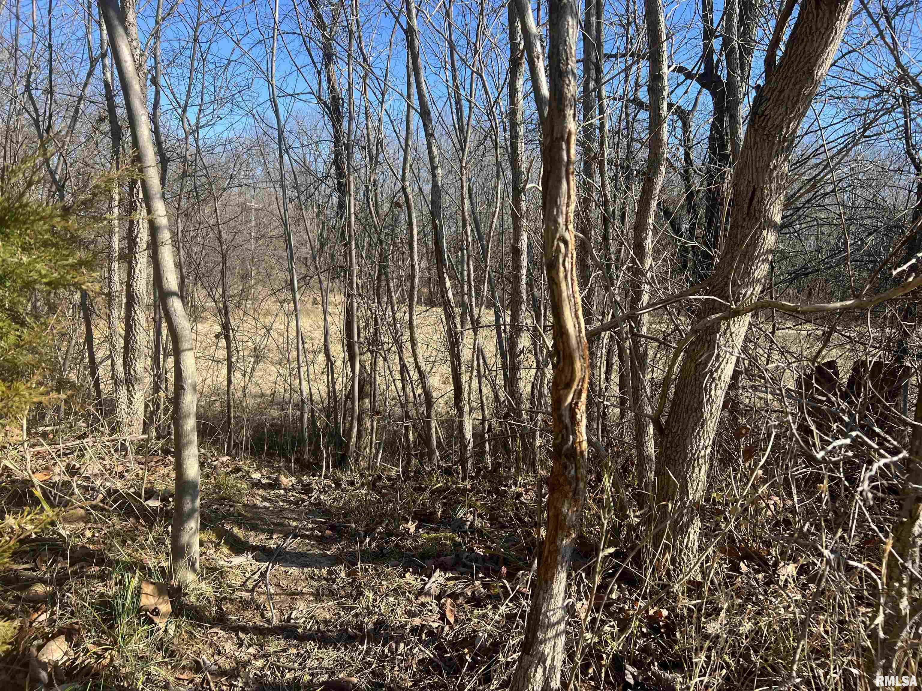 0 East Clay Road Noble, IL 62868 - Photo 25 of 48