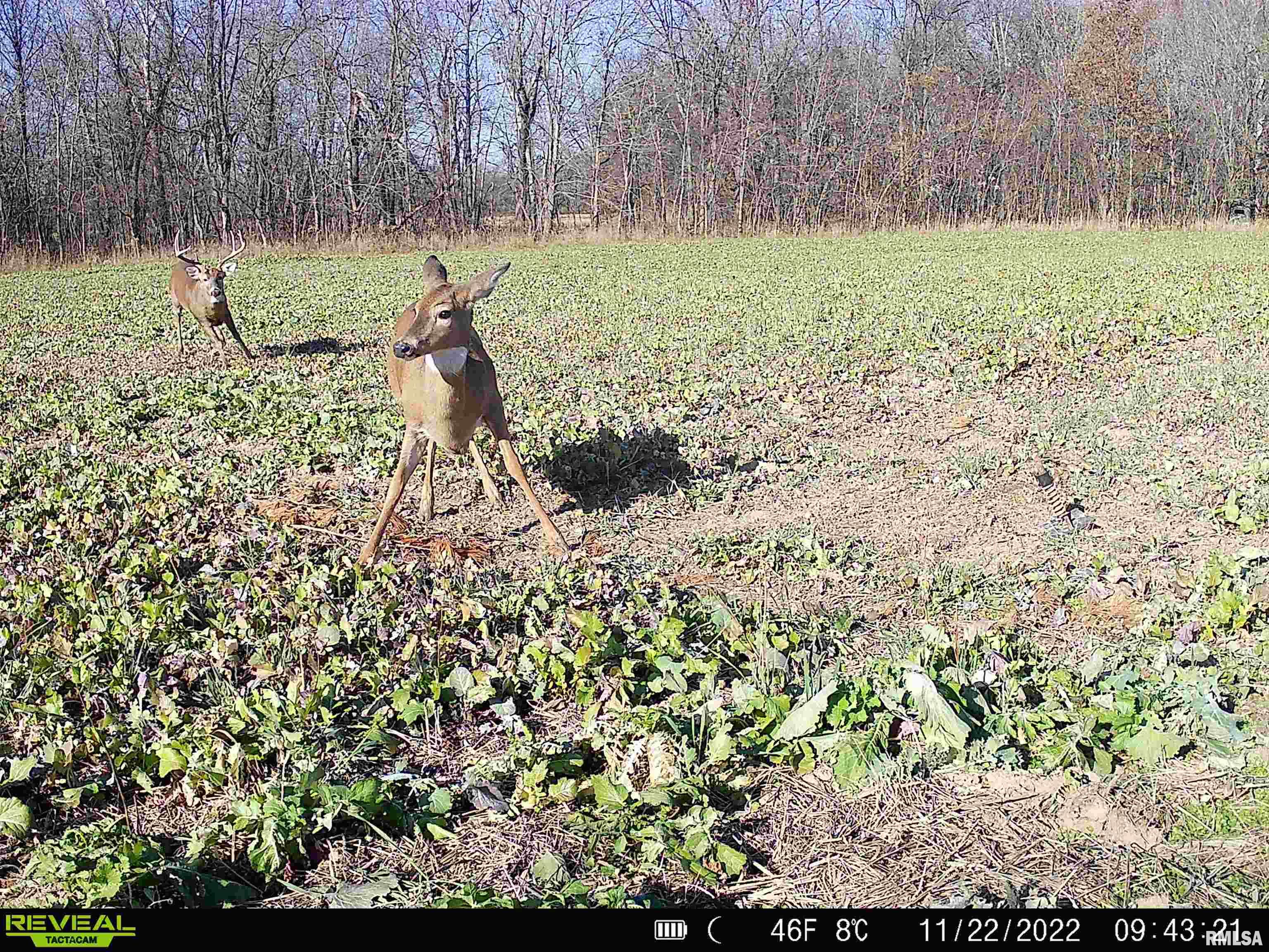 0 East Clay Road Noble, IL 62868 - Photo 32 of 48