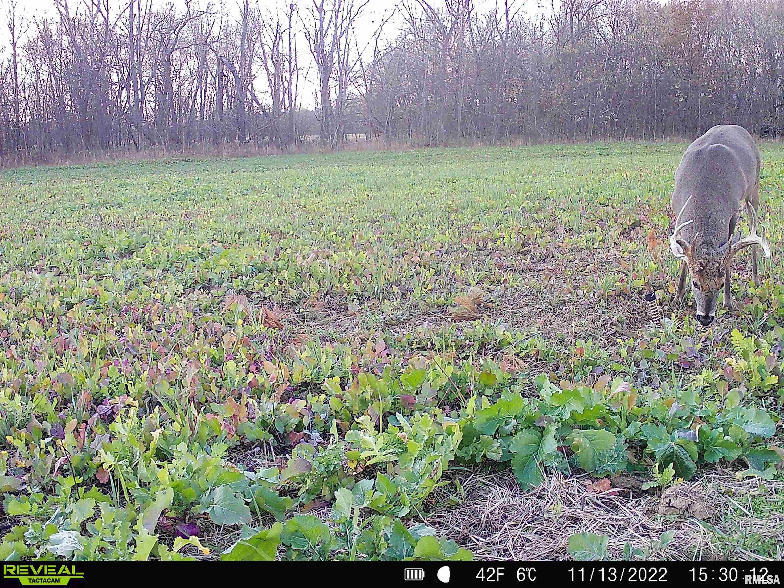 0 East Clay Road Noble, IL 62868 - Photo 33 of 48