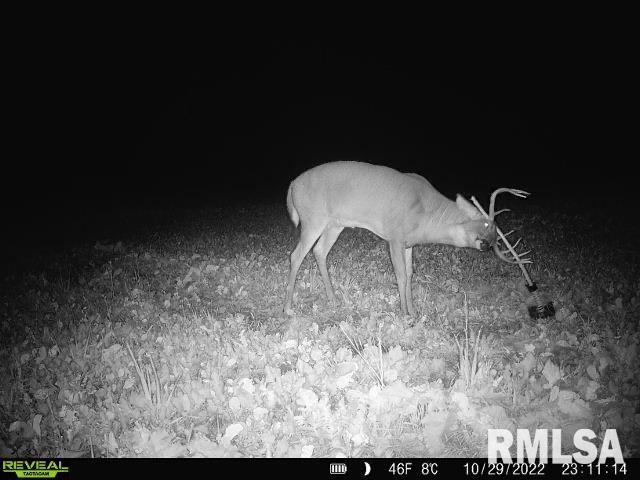 0 East Clay Road Noble, IL 62868 - Photo 34 of 48