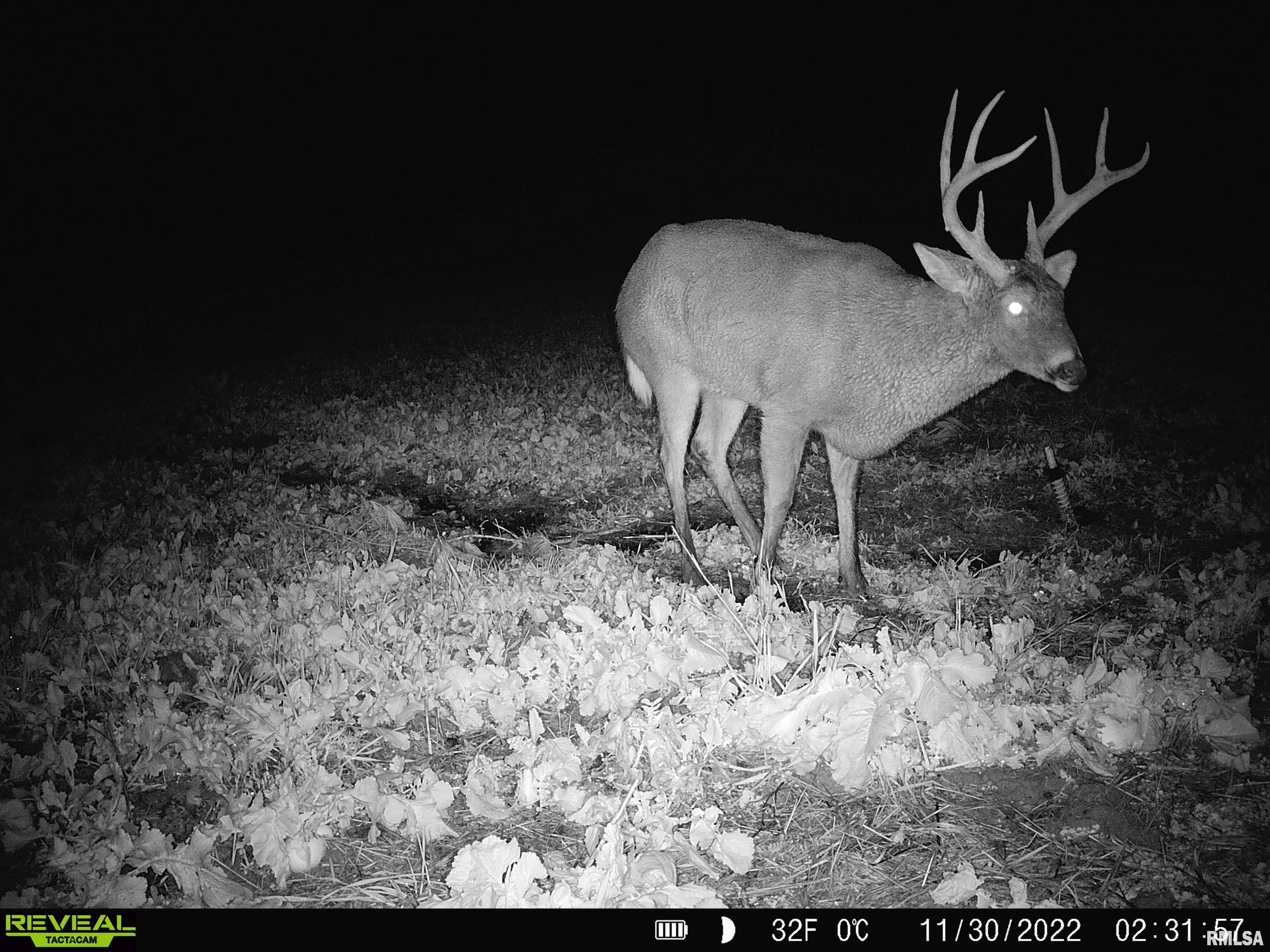 0 East Clay Road Noble, IL 62868 - Photo 35 of 48