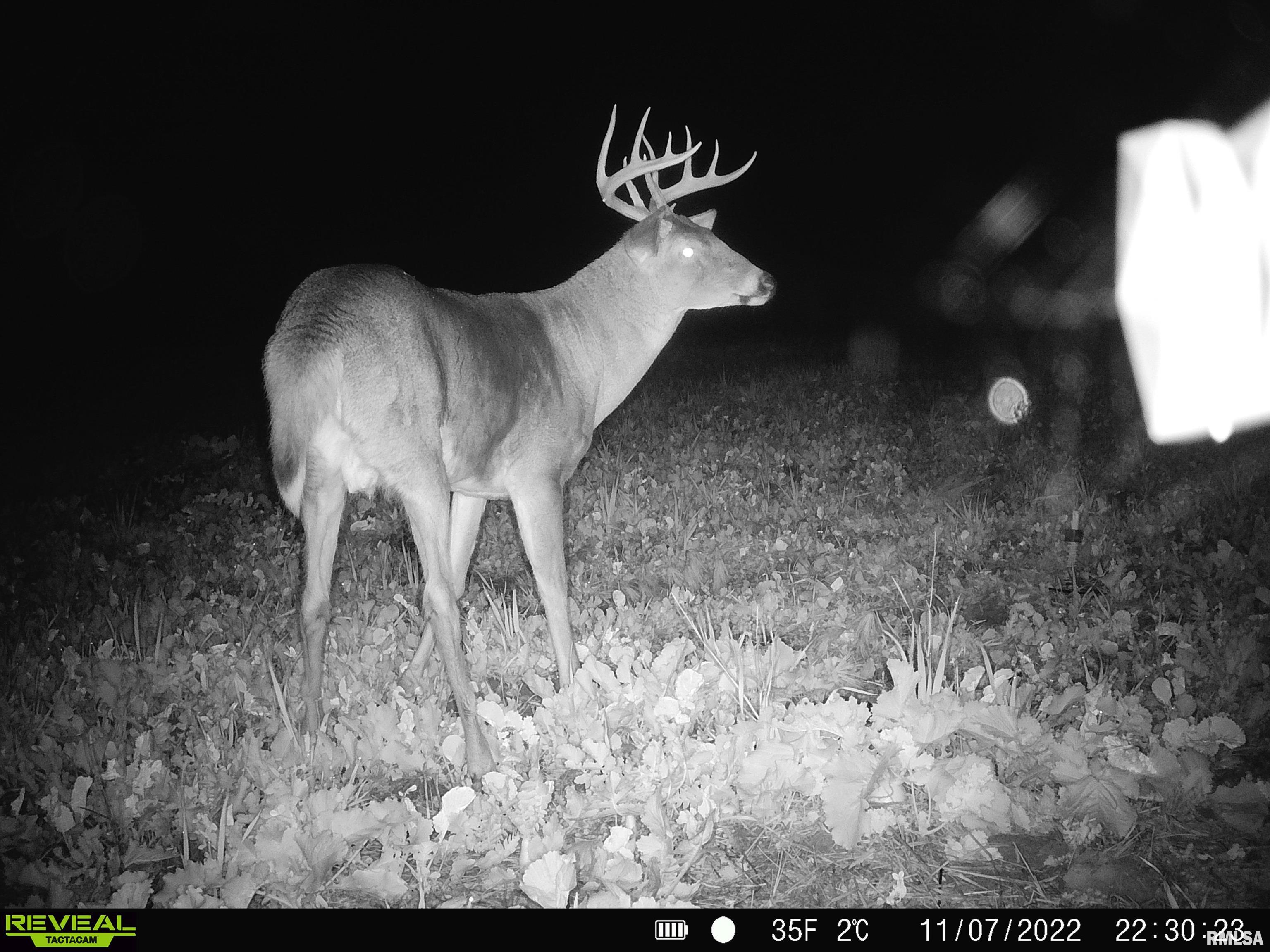 0 East Clay Road Noble, IL 62868 - Photo 37 of 48