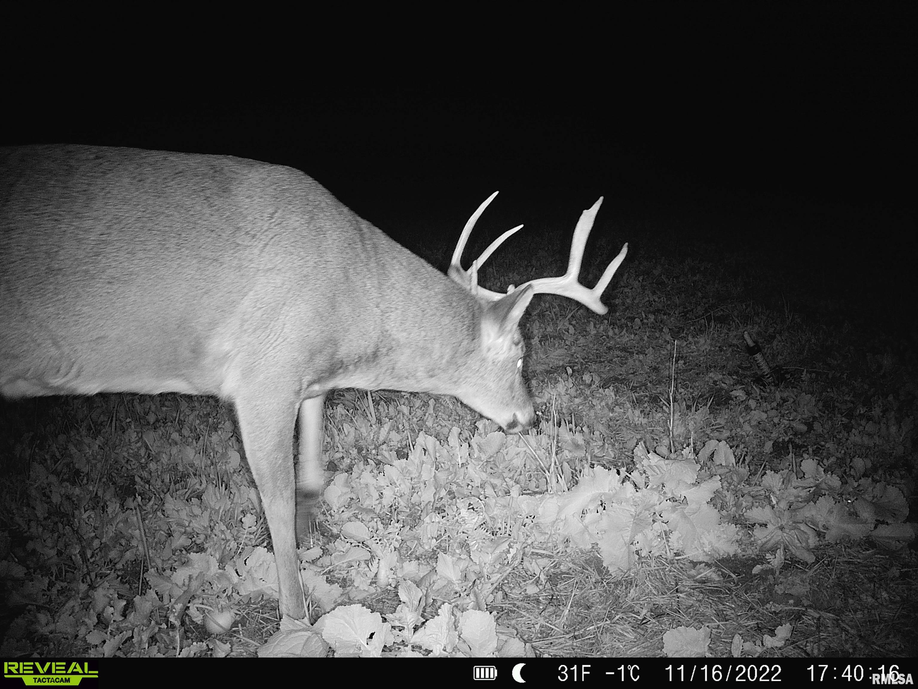 0 East Clay Road Noble, IL 62868 - Photo 38 of 48