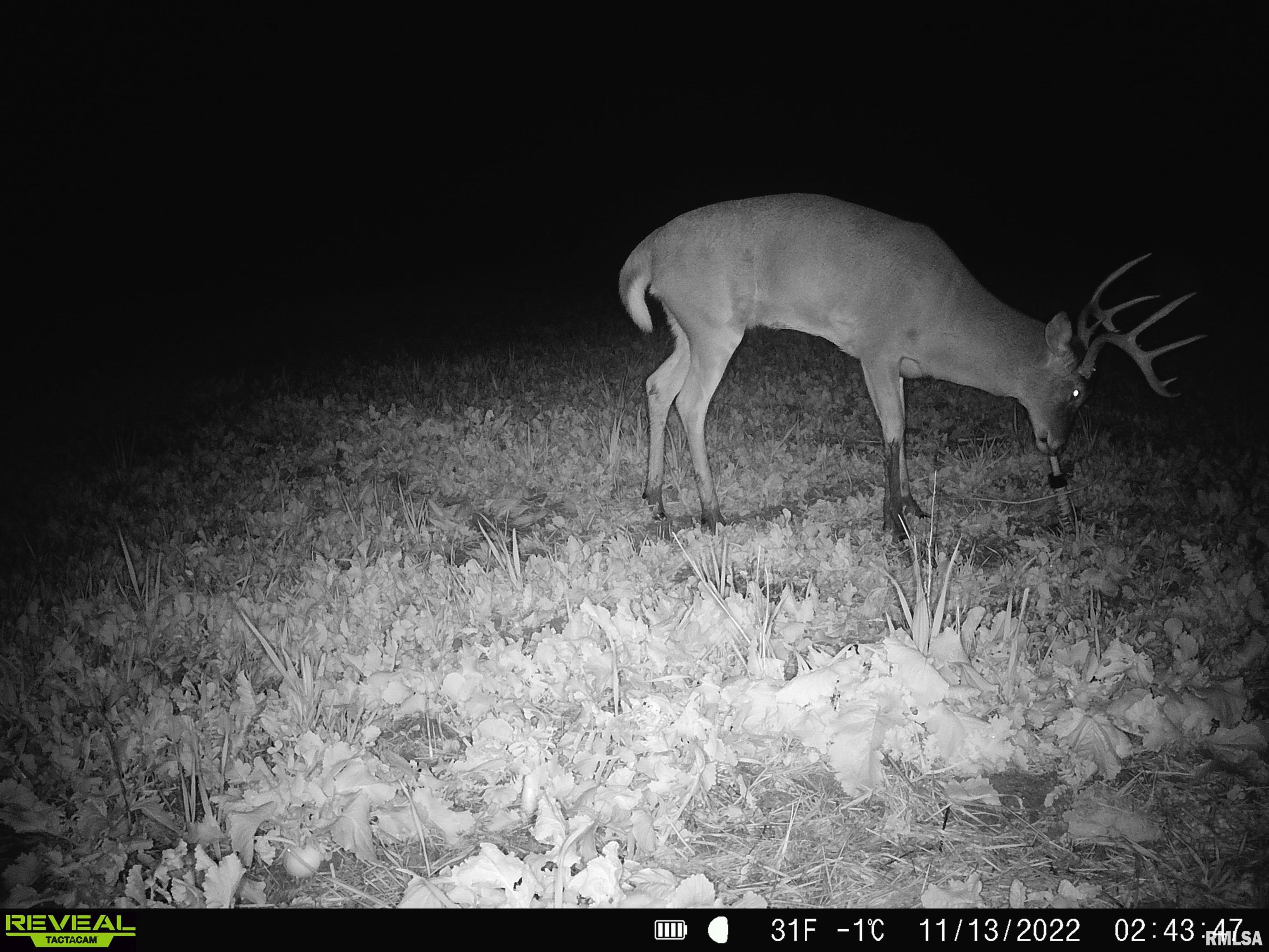 0 East Clay Road Noble, IL 62868 - Photo 39 of 48