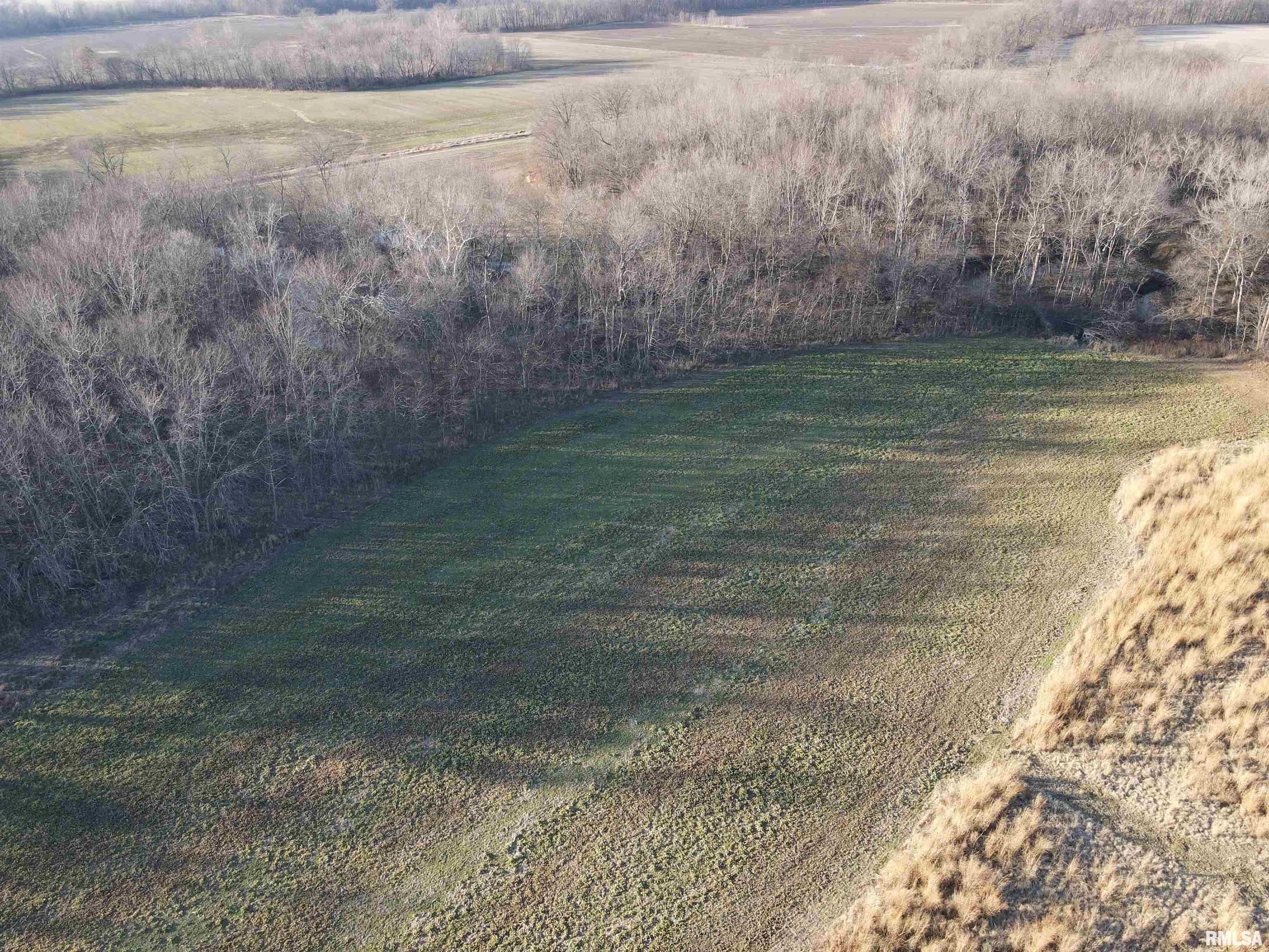 0 East Clay Road Noble, IL 62868 - Photo 4 of 48