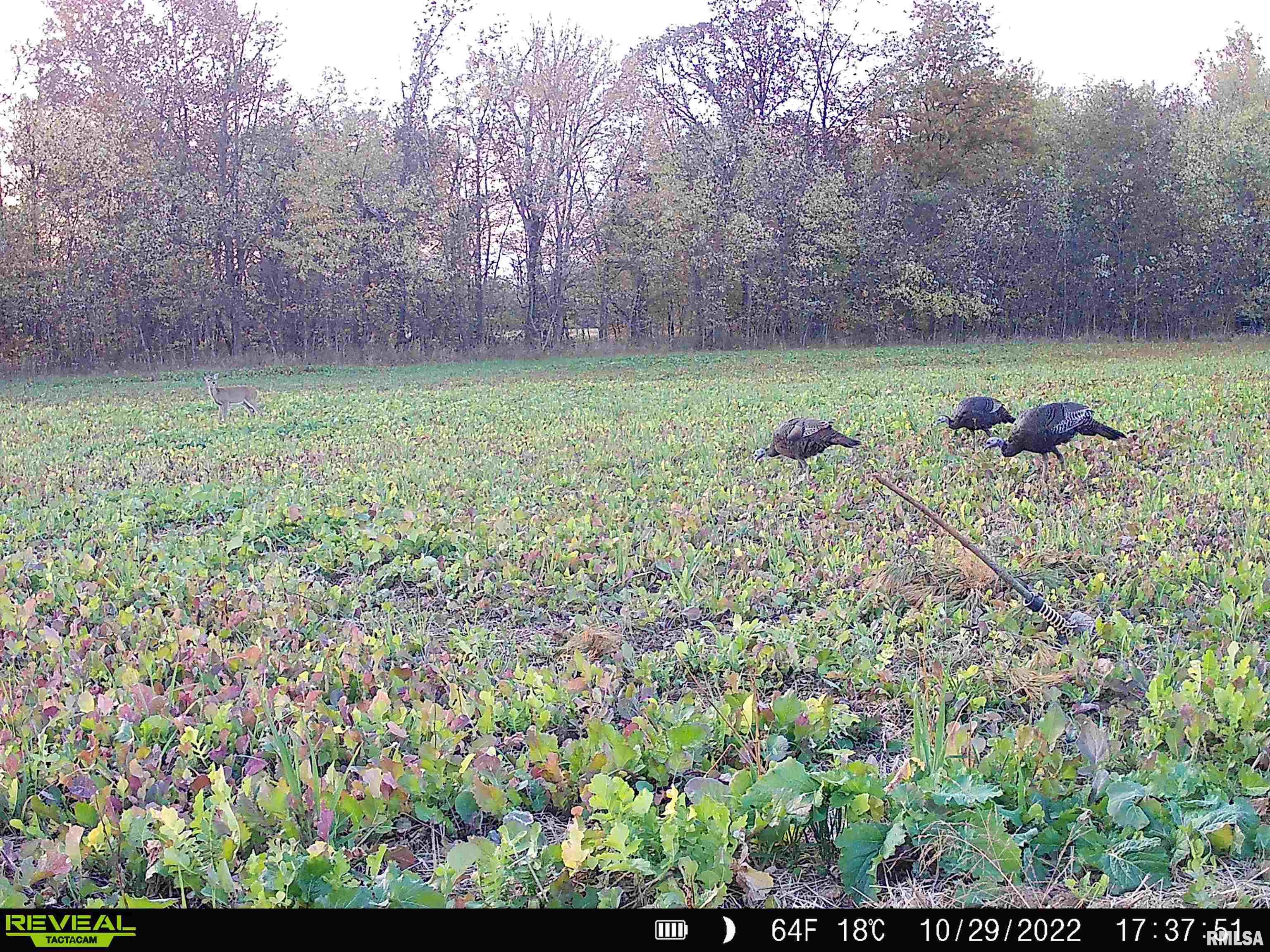 0 East Clay Road Noble, IL 62868 - Photo 45 of 48