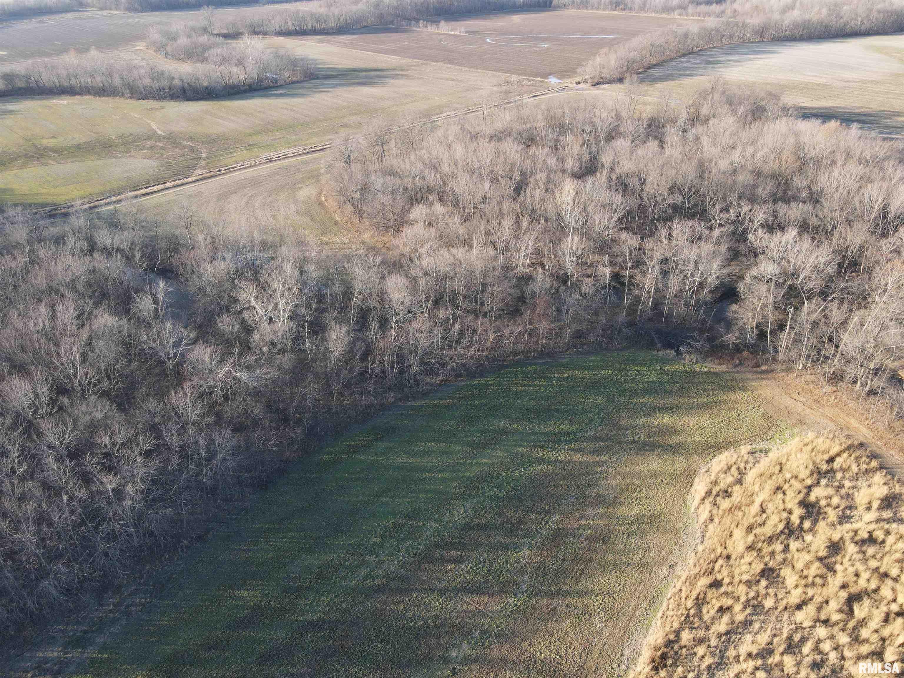 0 East Clay Road Noble, IL 62868 - Photo 5 of 48