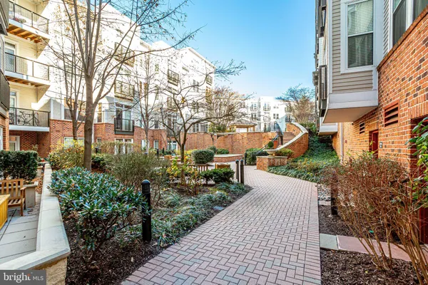 a view of a garden with pathway