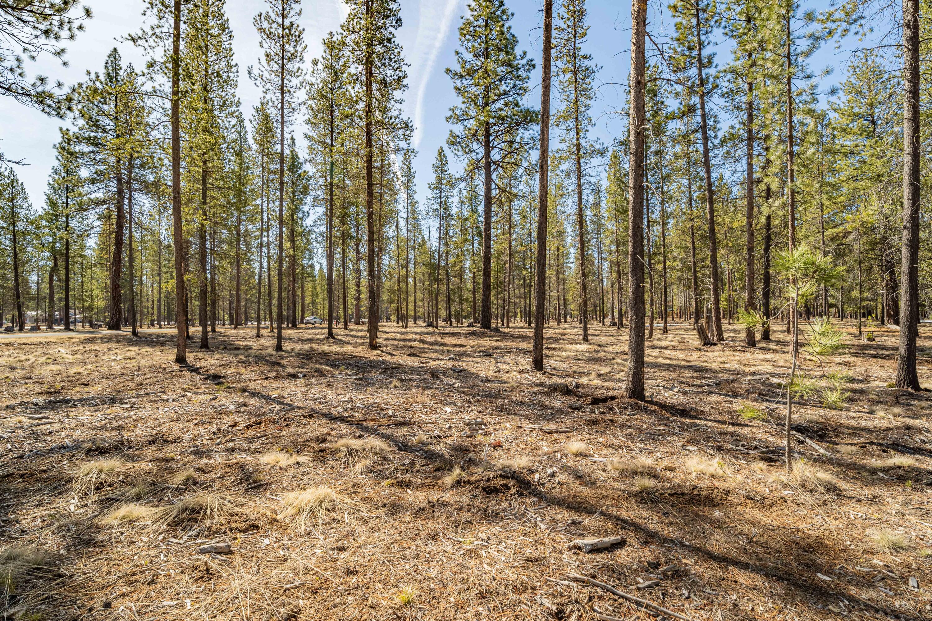 Preservation Loop Bend, Unit 462 Bend, OR 97707 - Photo 6 of 21 DSC07437-HDR