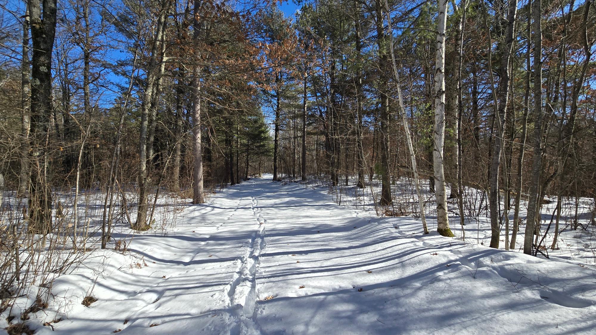 Off Clear Lake Road, Unit 40 ACRES Pearson, WI 54462 - Photo 16 of 29 Gallery Image 16