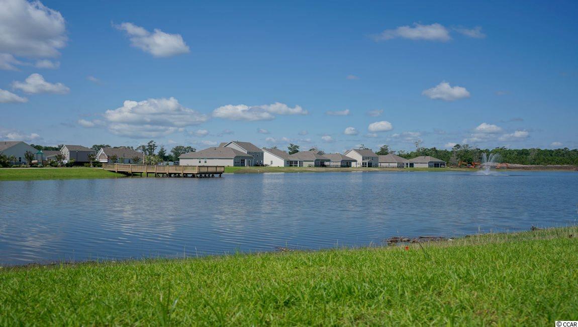 5215 Stockyard Loop Myrtle Beach, SC 29588 - Photo 33 of 39 Gallery Image 33