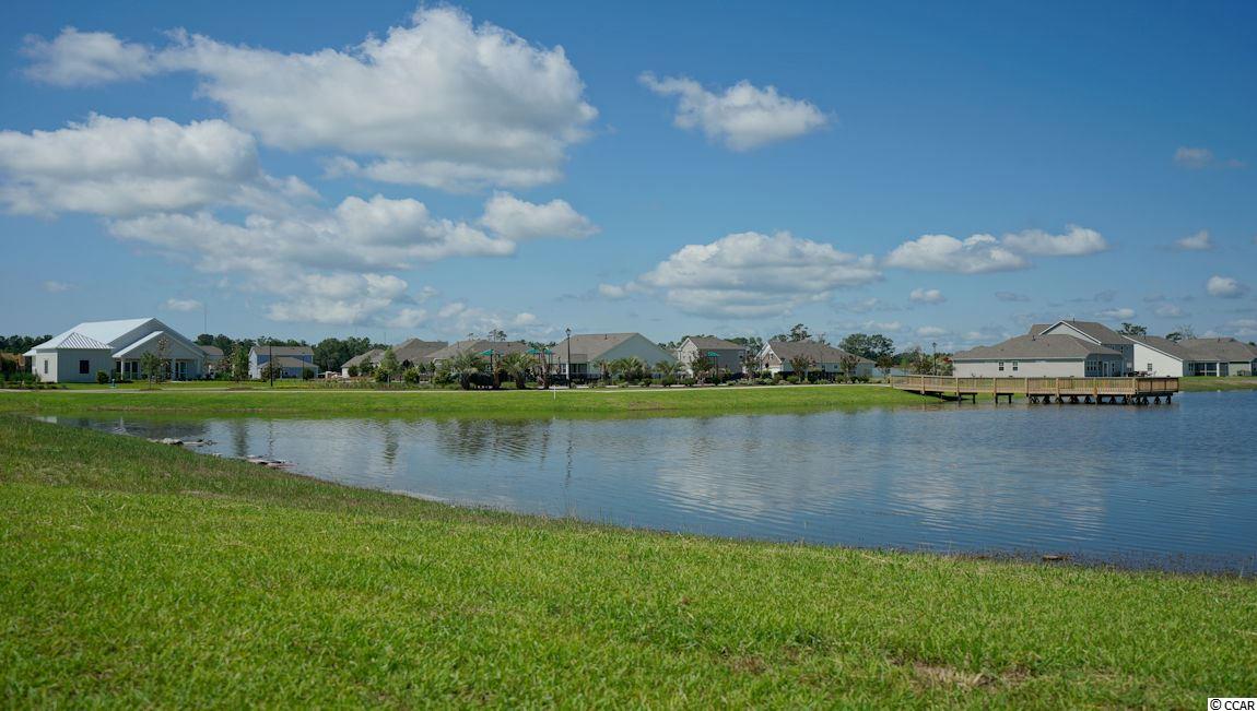 5215 Stockyard Loop Myrtle Beach, SC 29588 - Photo 34 of 39 Gallery Image 34