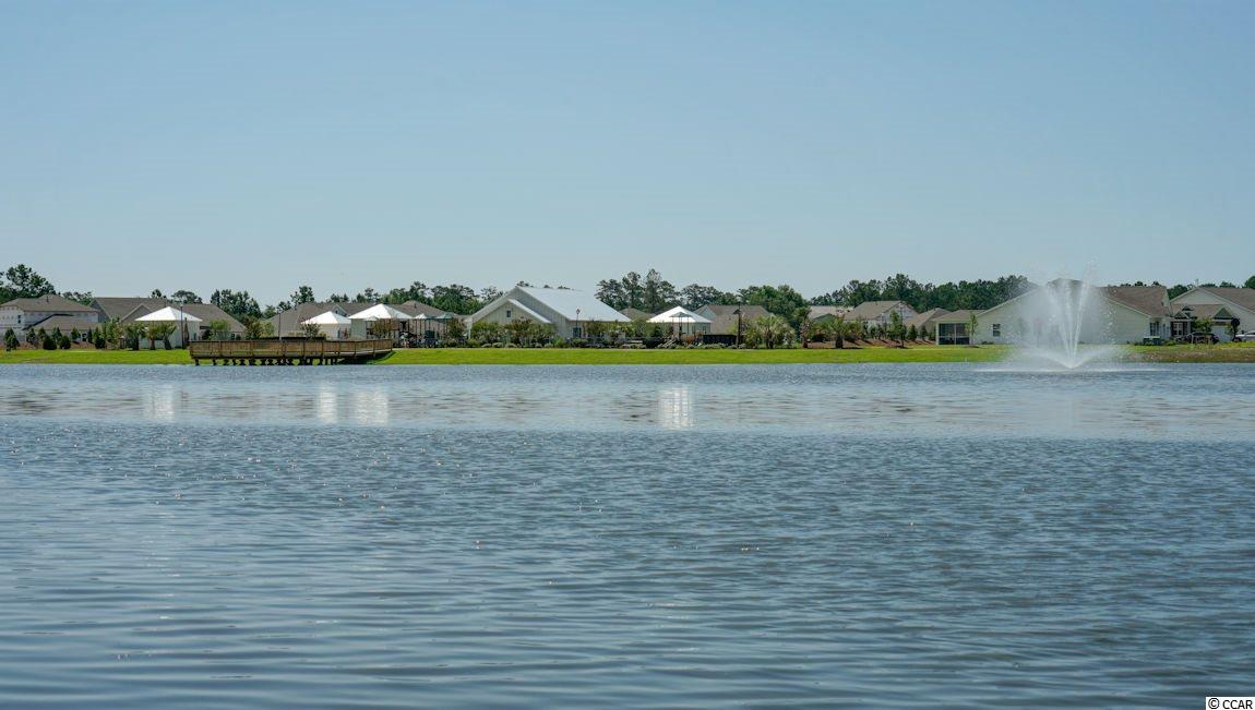 5215 Stockyard Loop Myrtle Beach, SC 29588 - Photo 36 of 39 Gallery Image 36