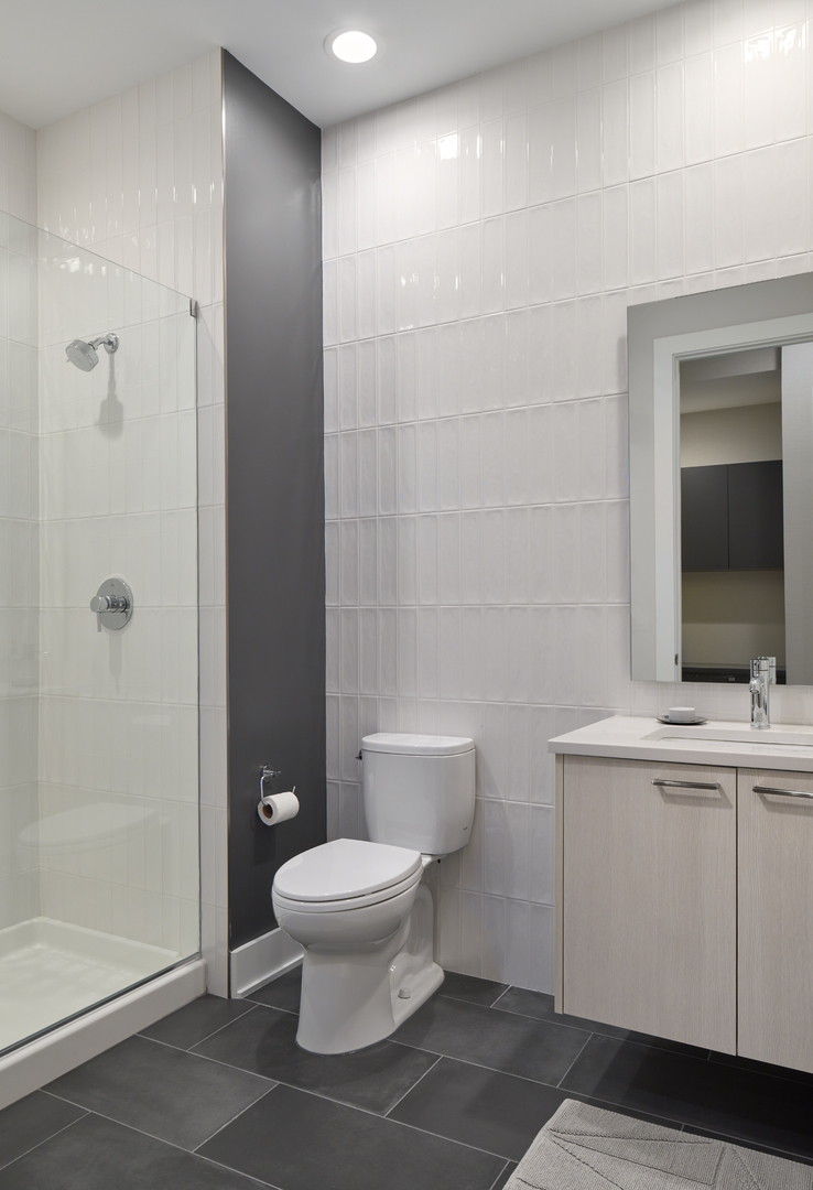 128 South Aberdeen Street, Unit 3S Chicago, IL 60607 - Photo 9 of 9 a bathroom with a toilet a sink and shower
