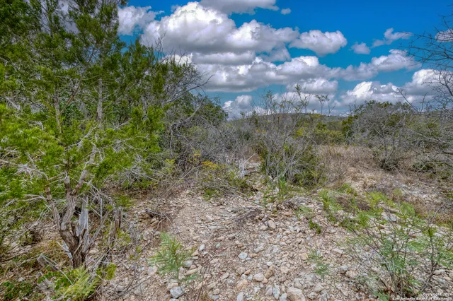 a view of a mountain range with trees in the background