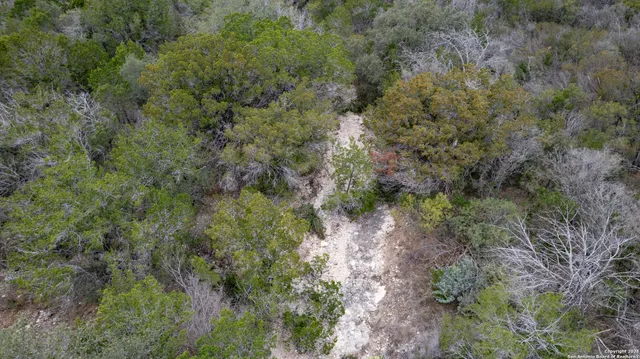 a view of a big yard with lots of green space