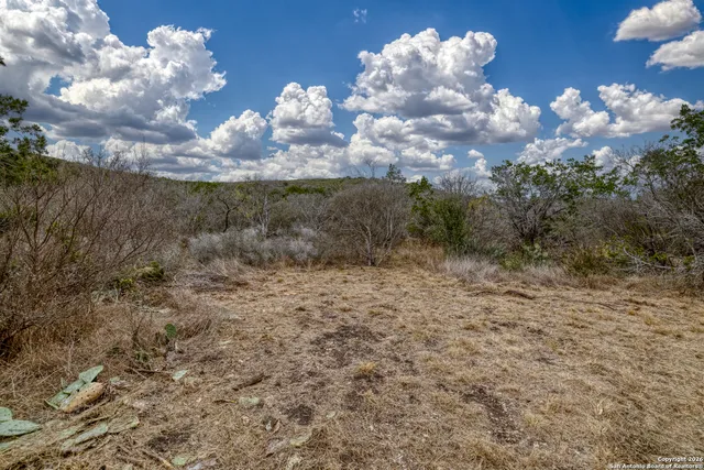 a view of a dry yard with trees in the background