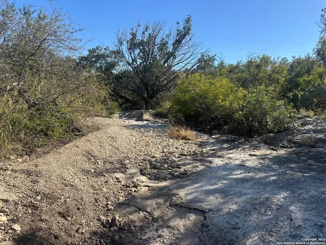 a view of a dirt road with trees