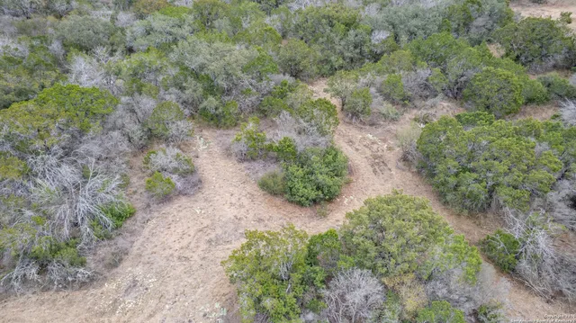 a view of a dry yard with lots of green space