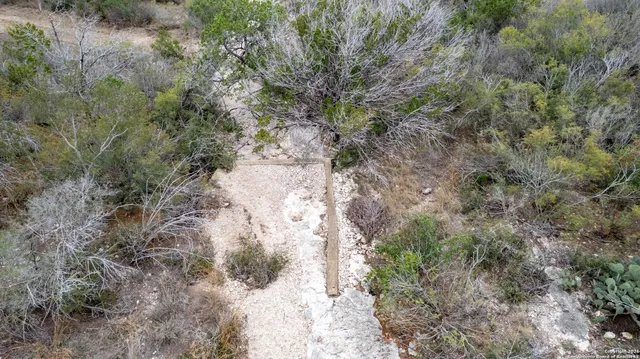 a view of a dry yard