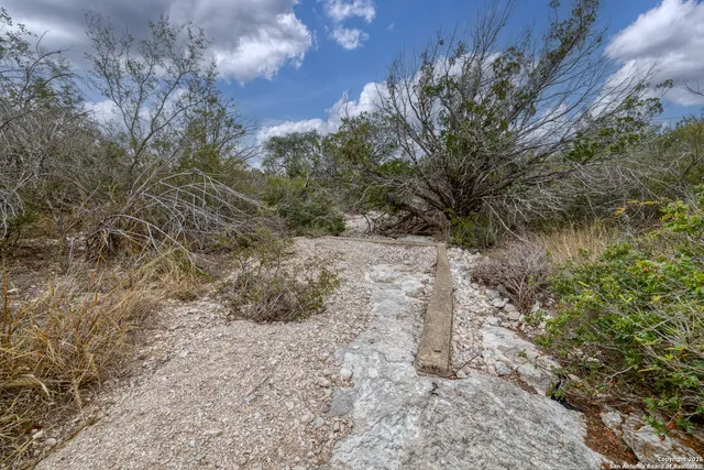 a view of small garden