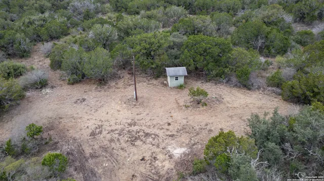 a view of a dry yard with trees