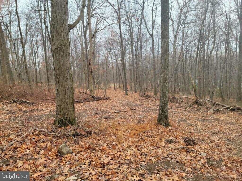 Crystal Falls Drive Boonsboro, MD 21713 - Photo 11 of 26