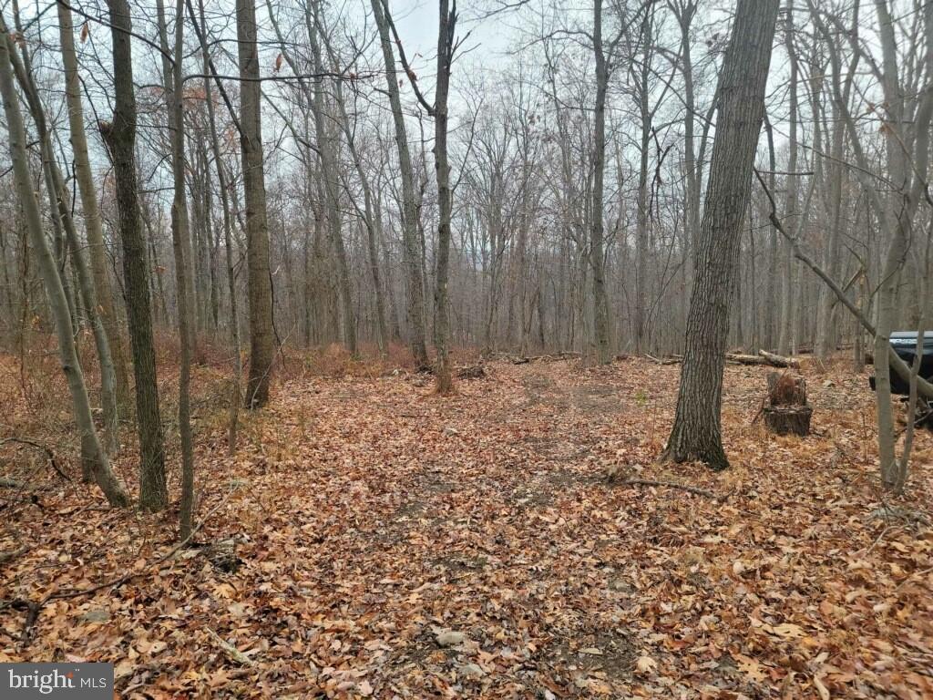 Crystal Falls Drive Boonsboro, MD 21713 - Photo 14 of 26