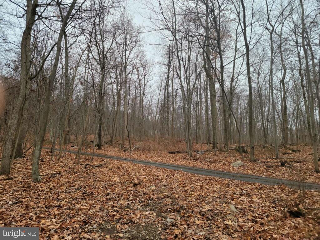 Crystal Falls Drive Boonsboro, MD 21713 - Photo 15 of 26