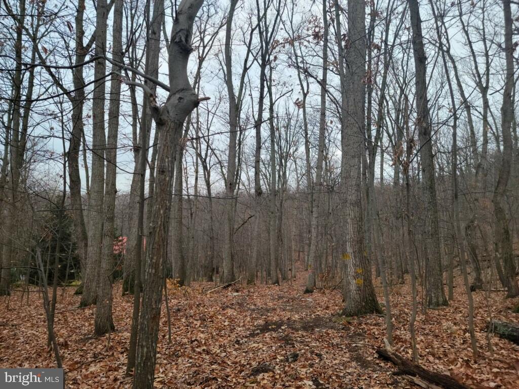 Crystal Falls Drive Boonsboro, MD 21713 - Photo 17 of 26