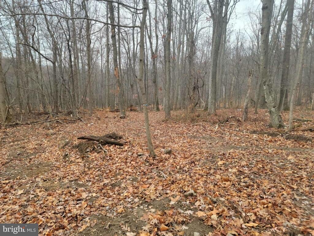 Crystal Falls Drive Boonsboro, MD 21713 - Photo 19 of 26