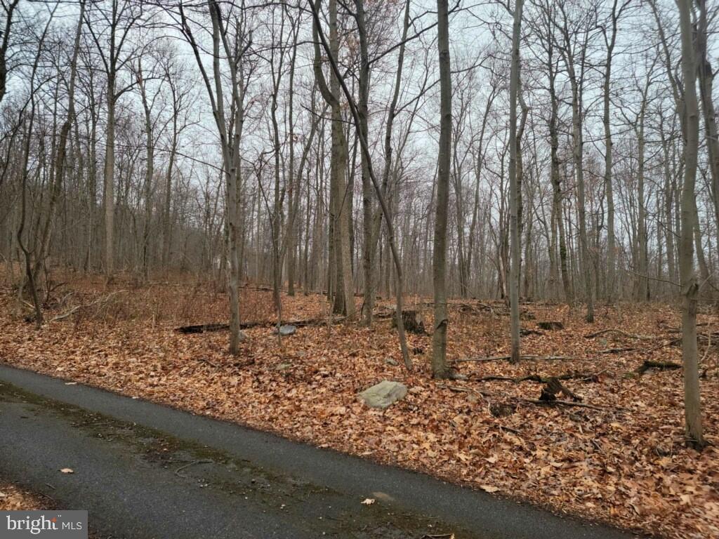 Crystal Falls Drive Boonsboro, MD 21713 - Photo 2 of 26