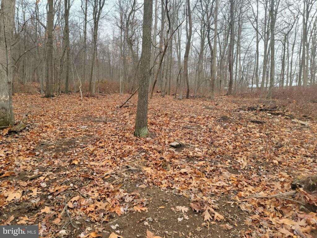 Crystal Falls Drive Boonsboro, MD 21713 - Photo 21 of 26