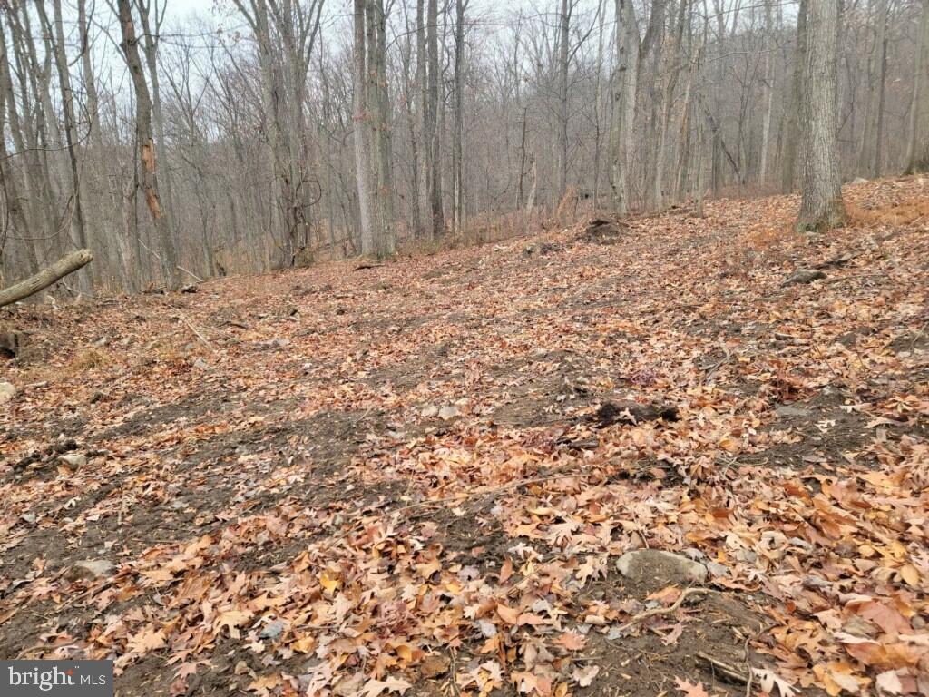 Crystal Falls Drive Boonsboro, MD 21713 - Photo 23 of 26