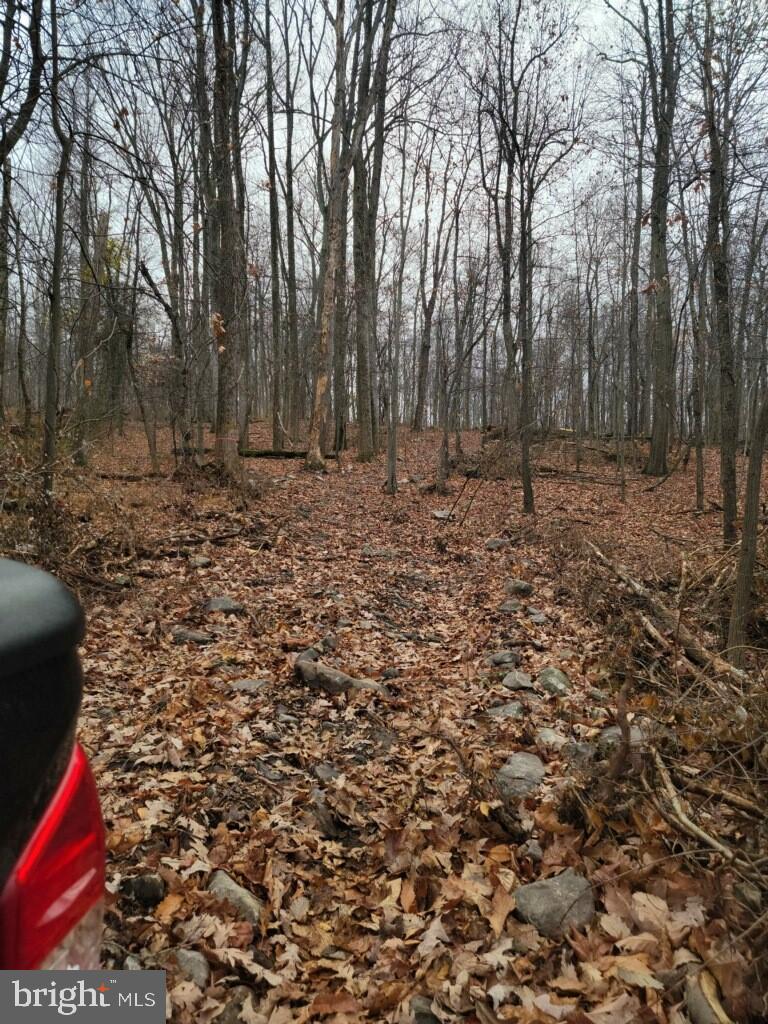 Crystal Falls Drive Boonsboro, MD 21713 - Photo 24 of 26