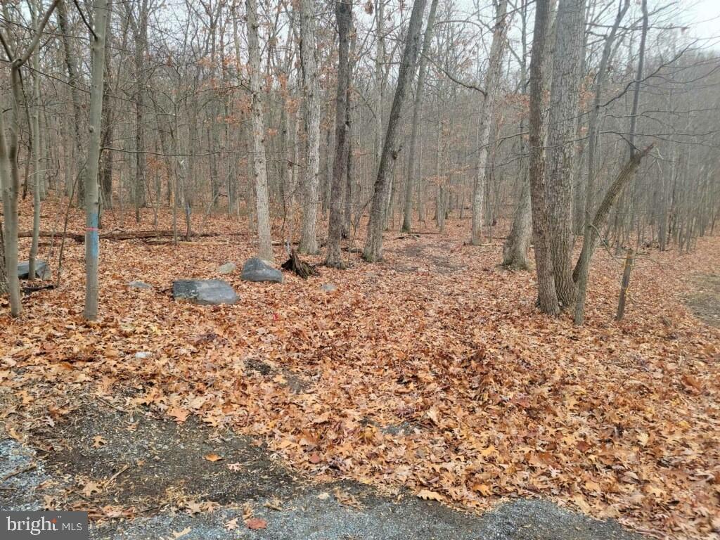 Crystal Falls Drive Boonsboro, MD 21713 - Photo 25 of 26