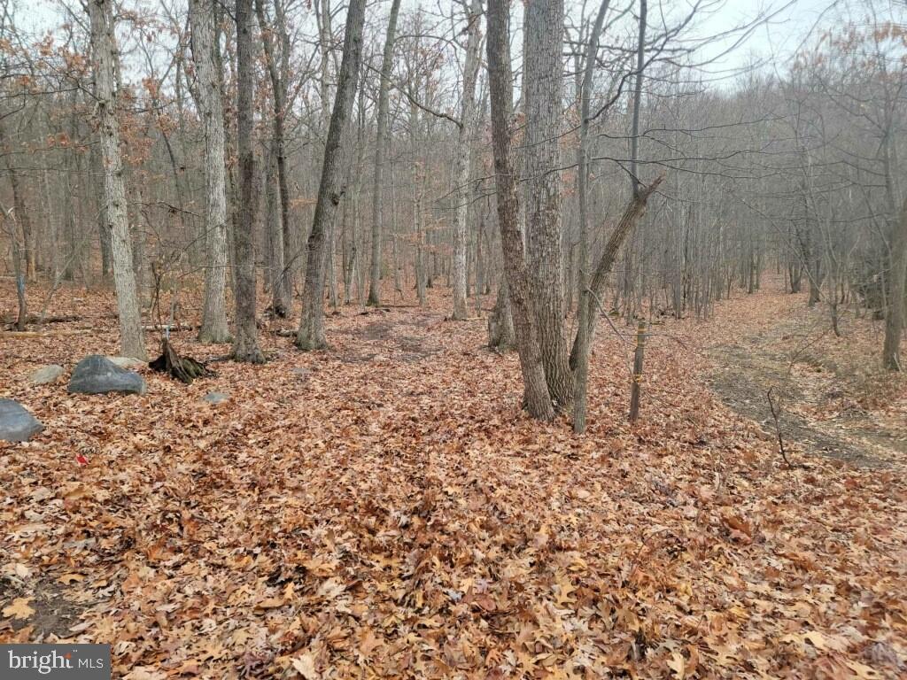 Crystal Falls Drive Boonsboro, MD 21713 - Photo 26 of 26