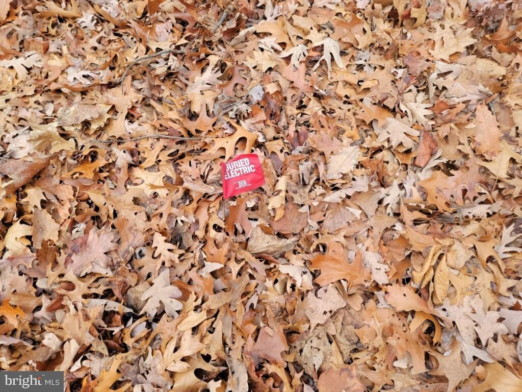 Crystal Falls Drive Boonsboro, MD 21713 - Photo 3 of 26