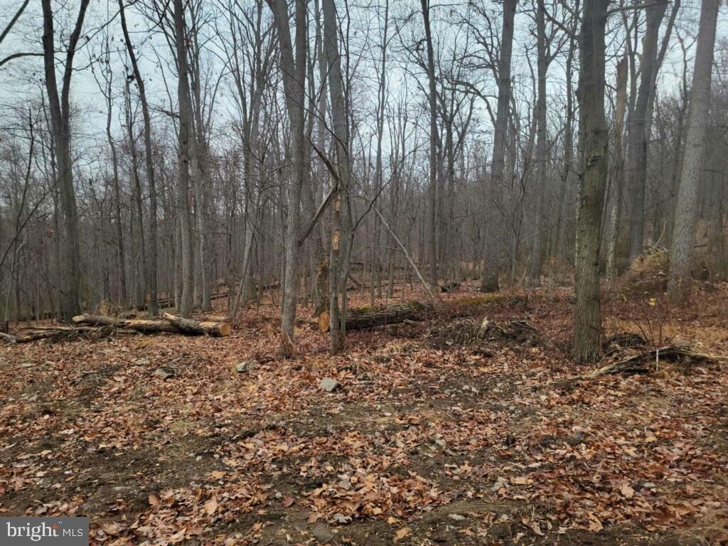 Crystal Falls Drive Boonsboro, MD 21713 - Photo 8 of 26