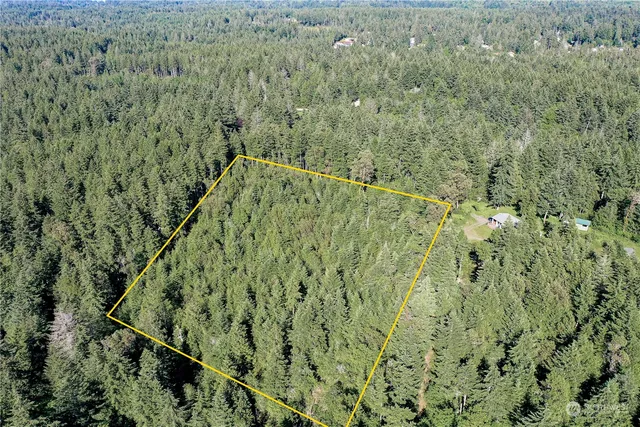 a view of a forest with a houses