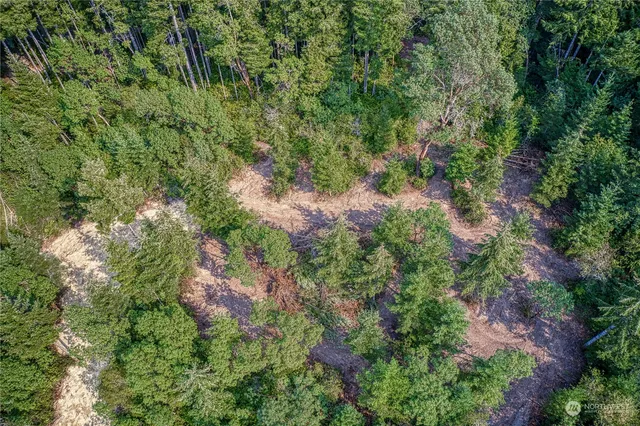 an aerial view of residential house with outdoor space and trees all around