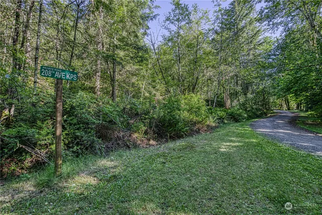 a view of a lush green forest
